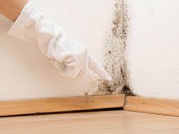 Best Emergency Mold Remediation  in Countryside, IL